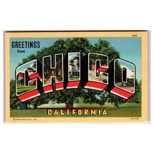 Greetings from Chico California Large Letter Linen Postcard Curt Teich 1943